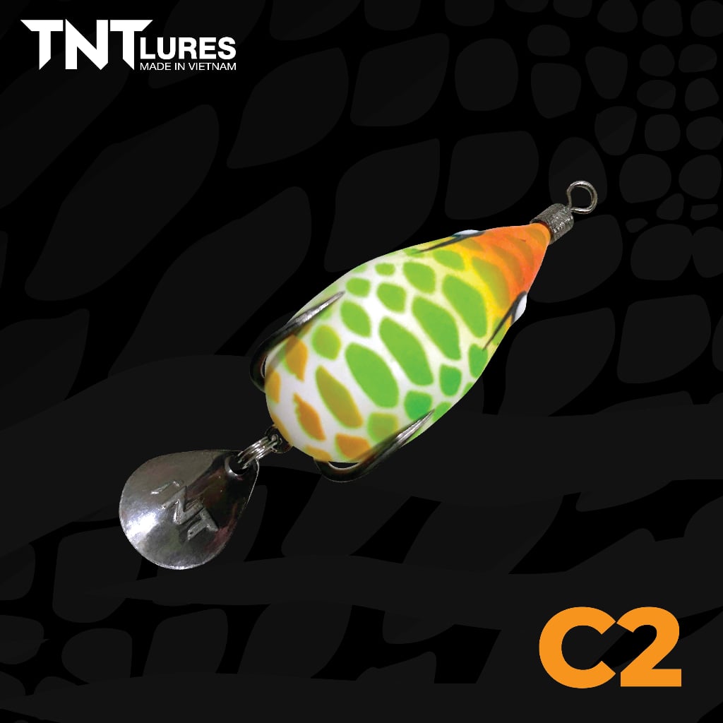 C2
