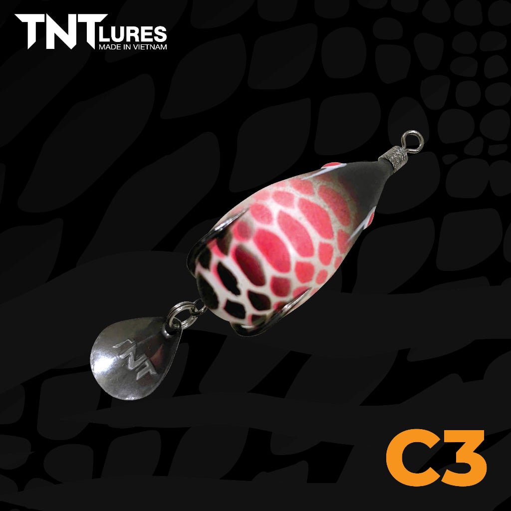 C3