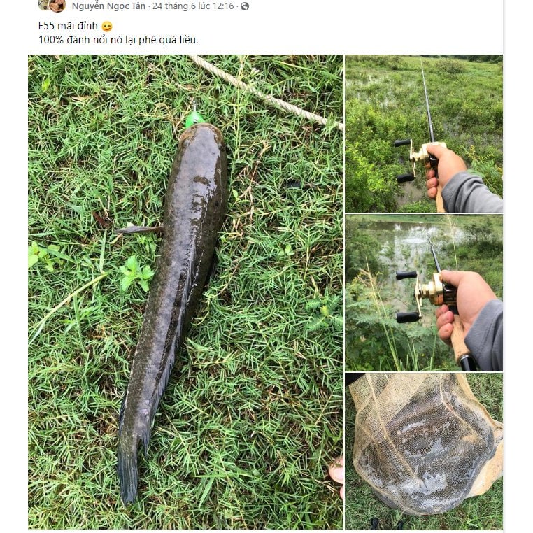 Ảnh cộng đồng TNT Lures